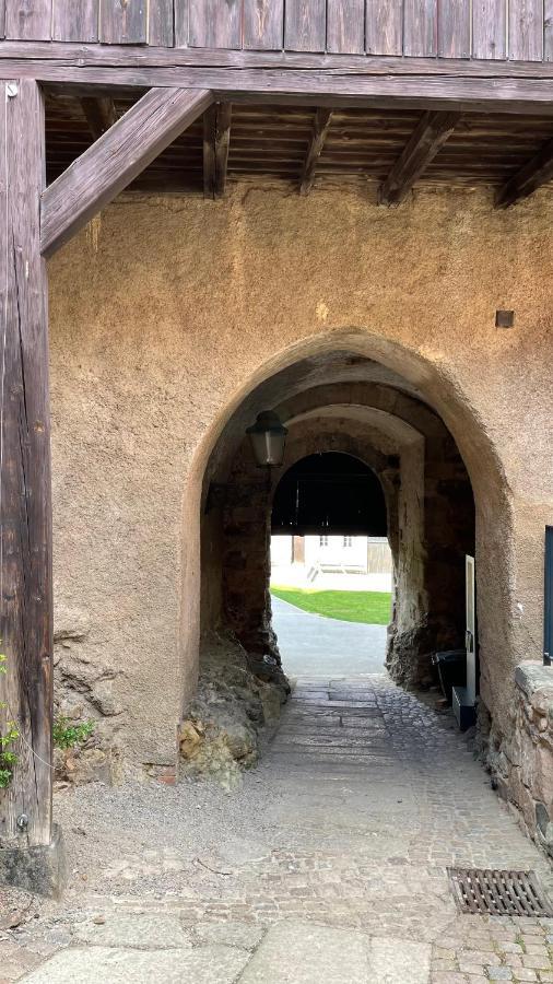 Lichtdurchflutete schicke Ferienwohnung in Zwickau Exterior foto